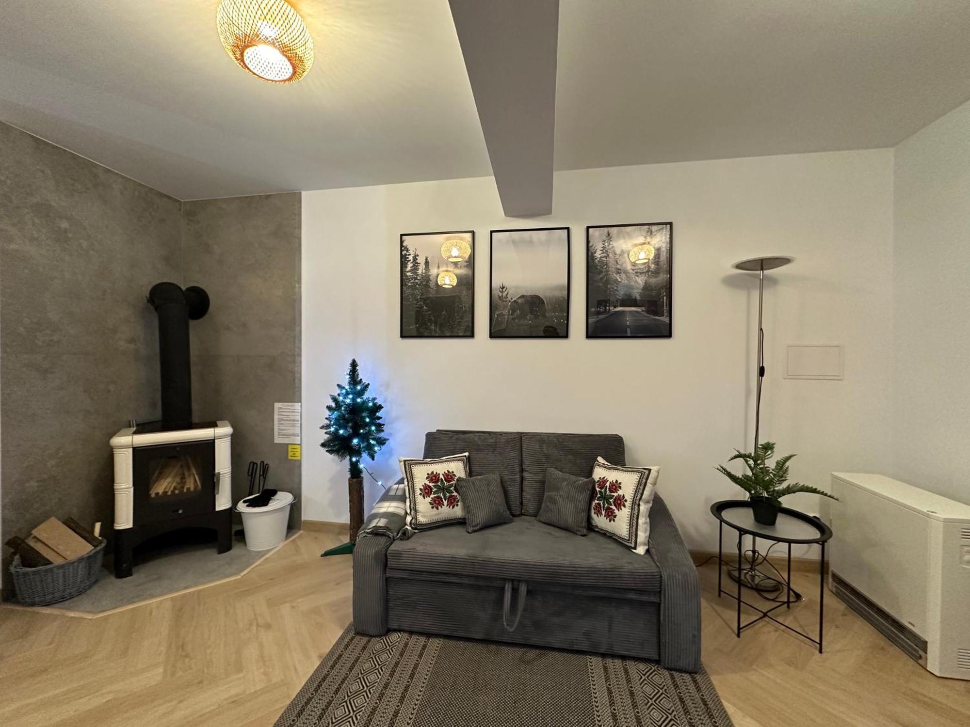 Apartament Skandynawska Prostota Z Basenem I Sauna Kościelisko Esterno foto